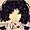 Chara